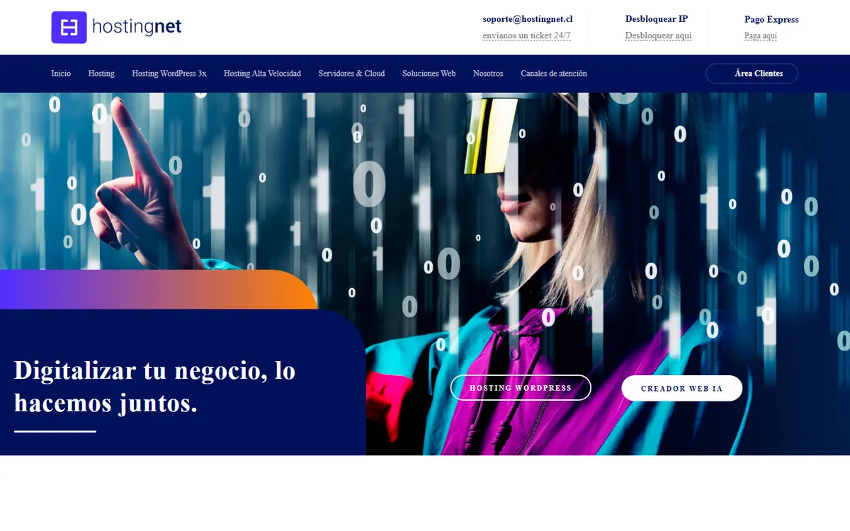 Homepage screenshot of Hostingnet