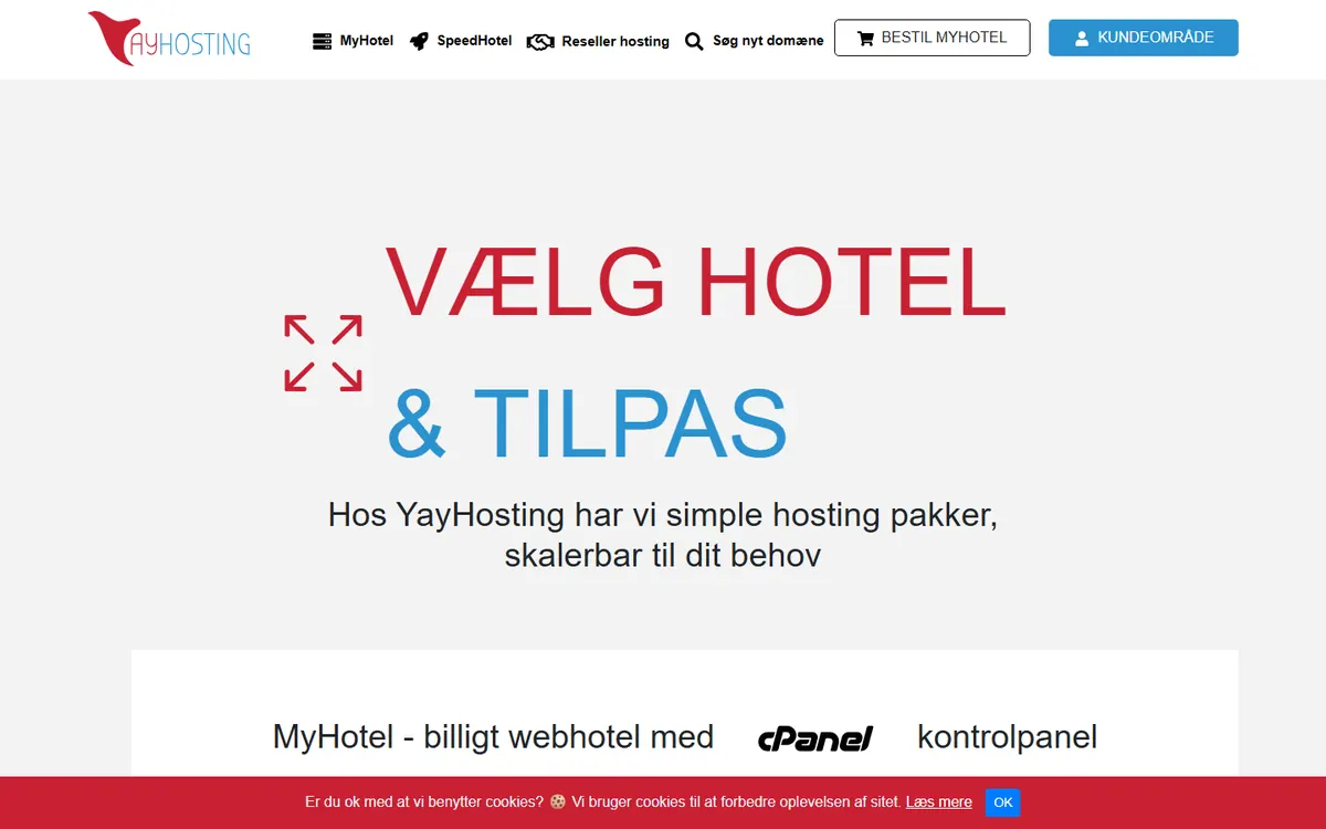 Homepage screenshot of YayHosting